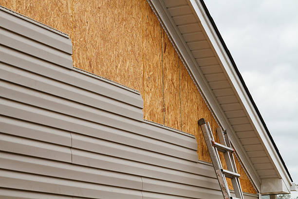 Professional Wood Siding technician working in Plain City, OH